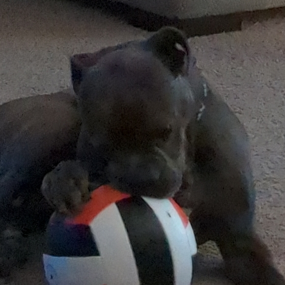 Meet your Posher, Kathy - Picture 1 of 2